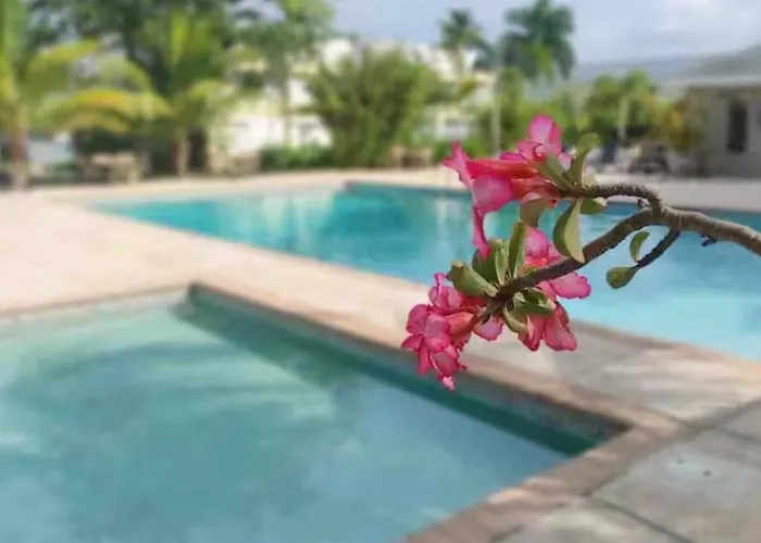 Apartamento Liveworkplay Montego Bay