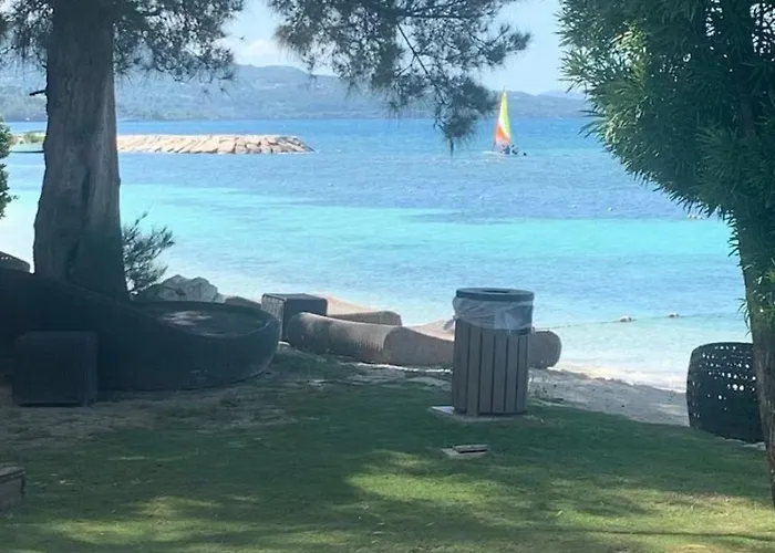 Liveworkplay * Montego Bay