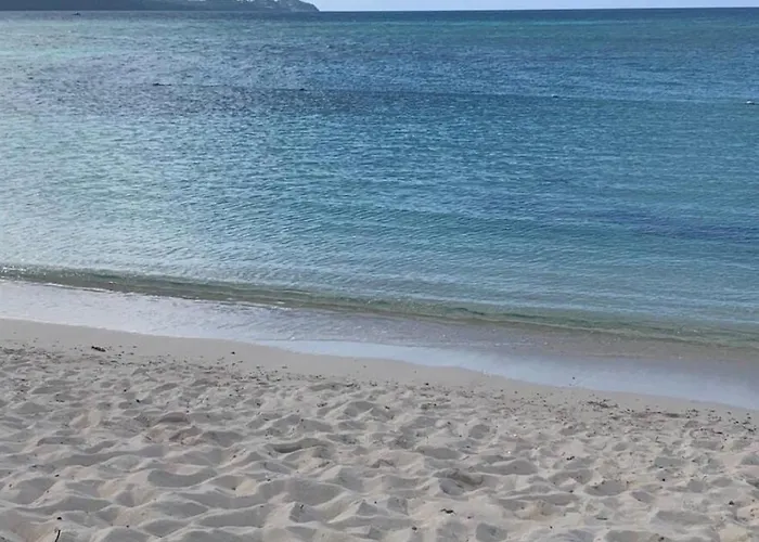 Liveworkplay Montego Bay